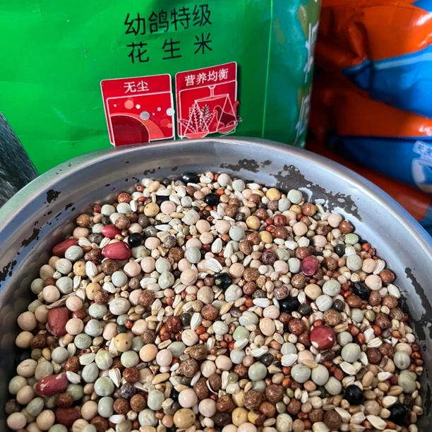 首佳上品幼鸽teji花生米