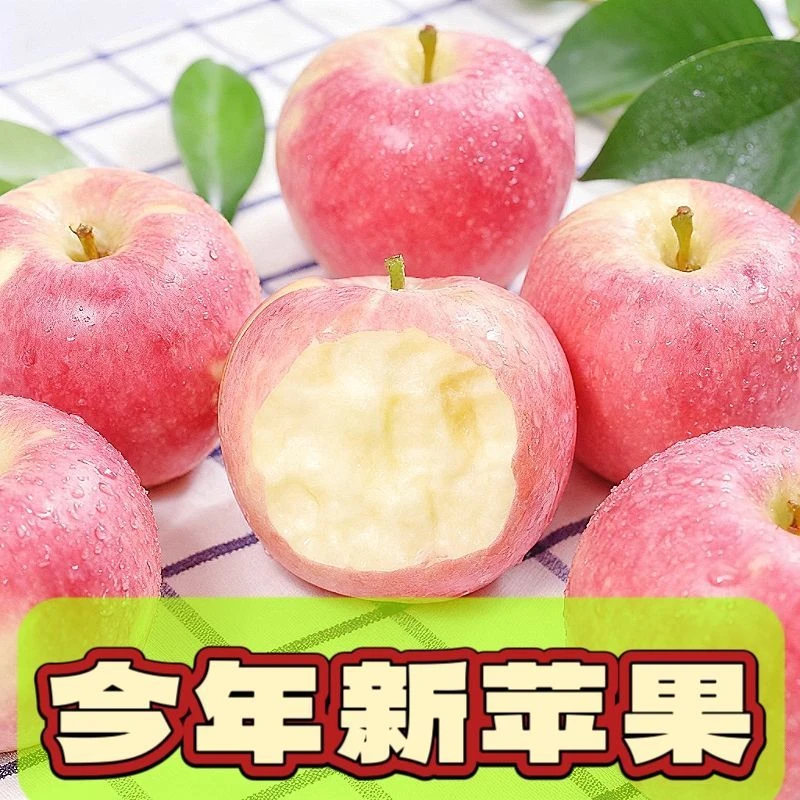 陕西冰糖心红富士红苹果新鲜水果当季脆甜多汁产地直发包邮