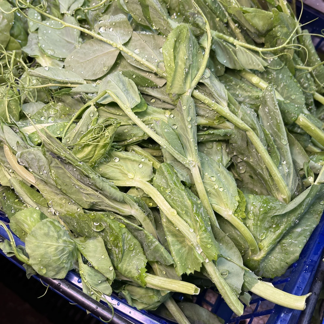 豌豆苗（火锅必配）/约250克