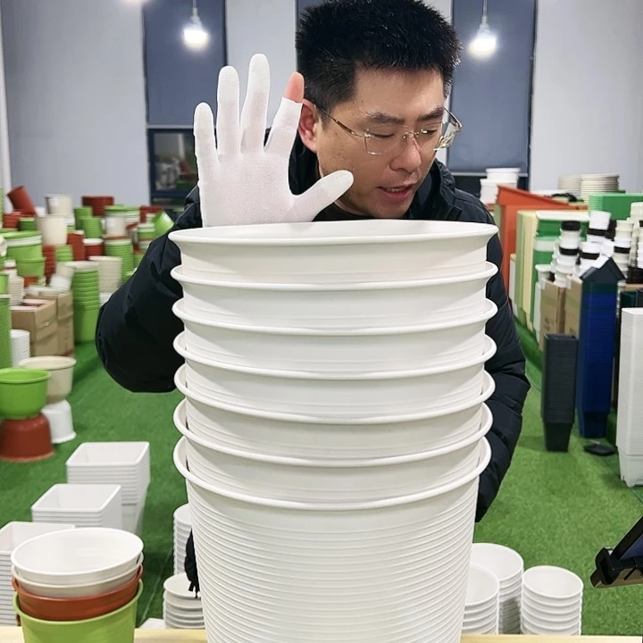 正品高陶口27高27白色4只无托