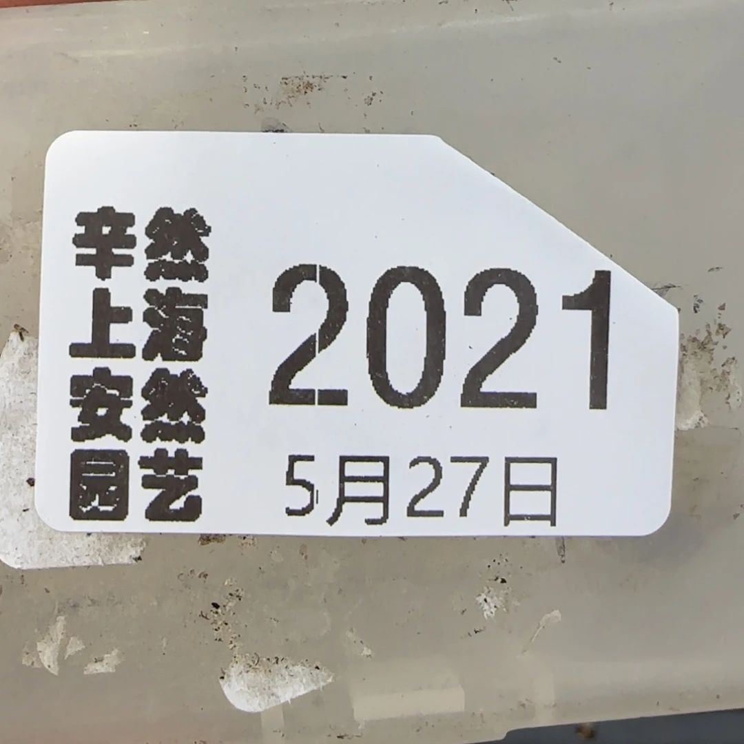 L****?5.27。。216饼干。。2021