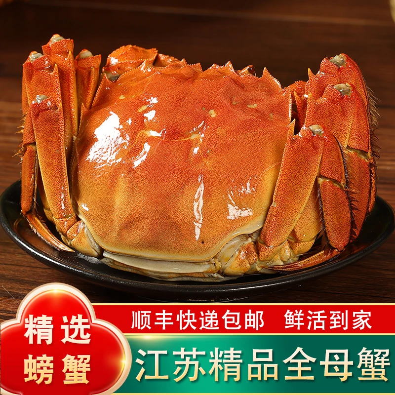 【活蟹】江苏全母大闸蟹精挑蟹3.6-3.3两6/8/10只礼盒装顺丰包邮