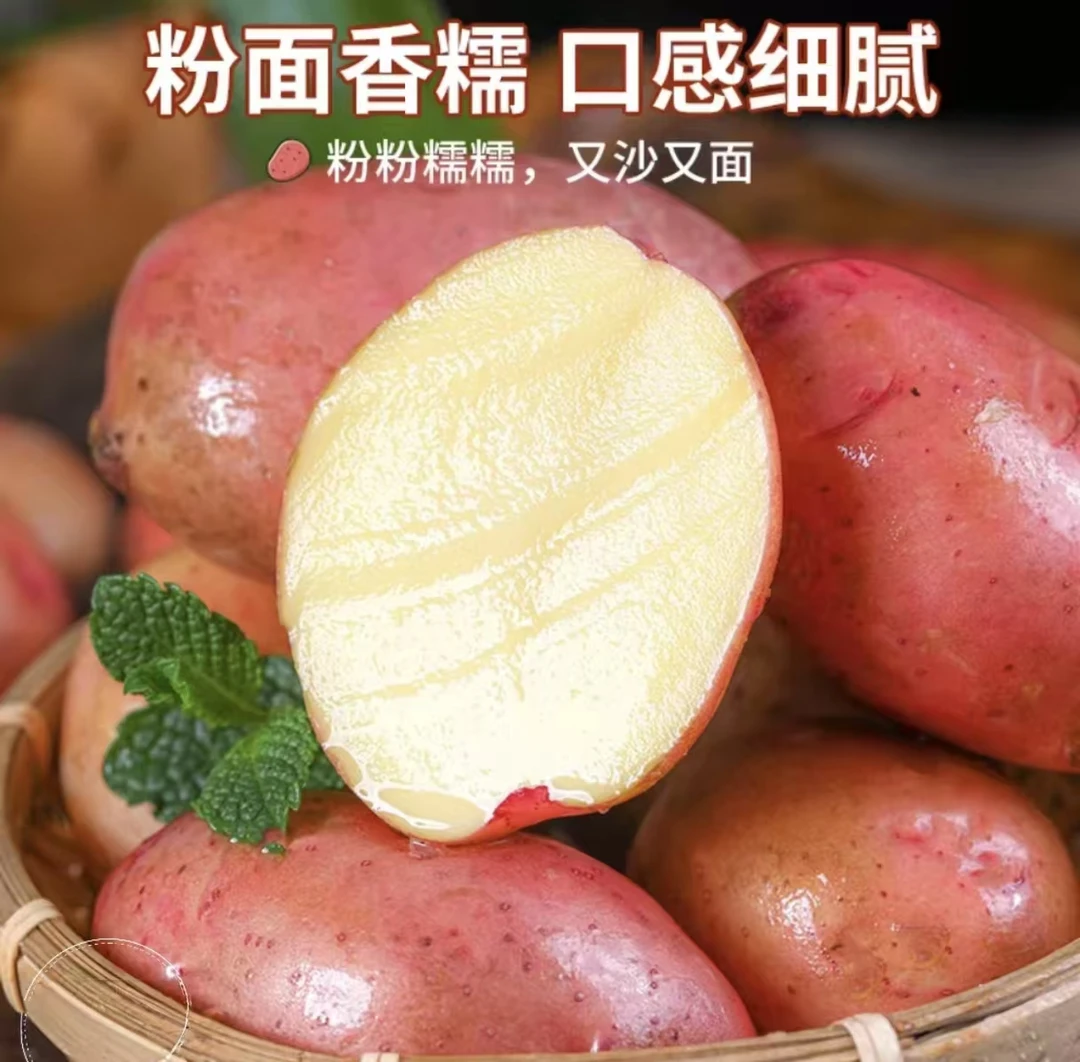 云南当季特产红皮黄心高原小土豆农家种植新鲜现挖粉面糯香蔬菜