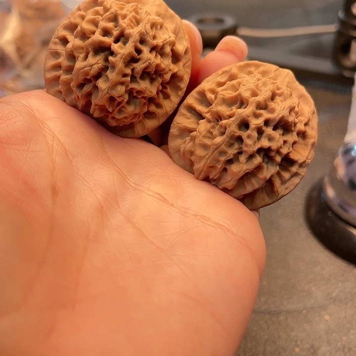 文玩核桃把件秦闷18.8