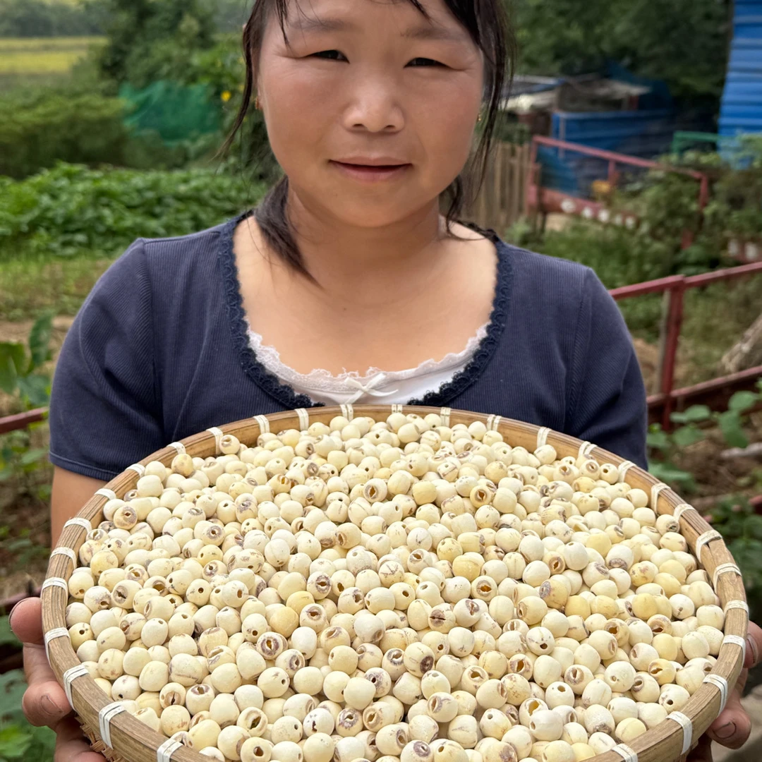 【蔡藕姐姐】特级去芯莲莲子新货颗粒饱满营养煲汤煮粥优选
