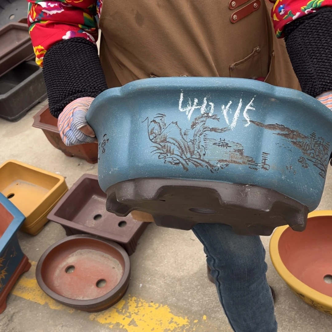 紫砂花盆盆景艺术