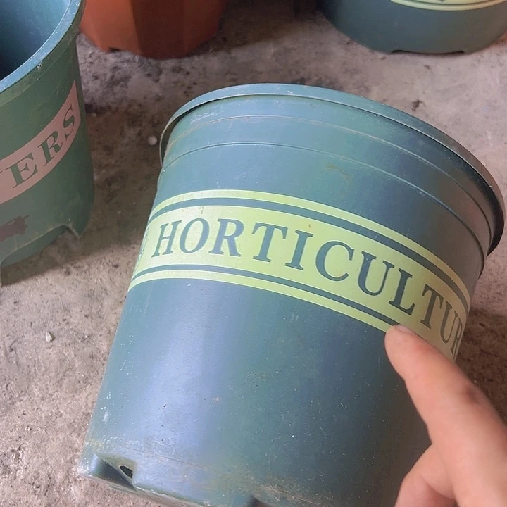 绿色加仑盆口径22高21发6个