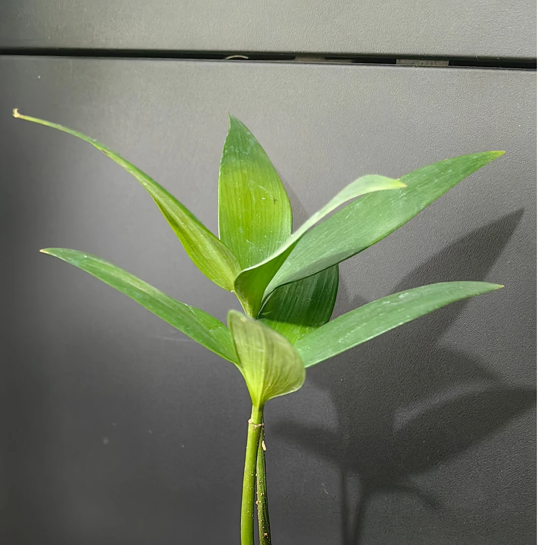 萌姐粉丝福利 超级实惠破包猫粮狗粮 长肉发腮