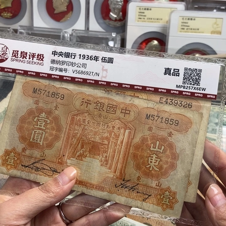 随机发一张。