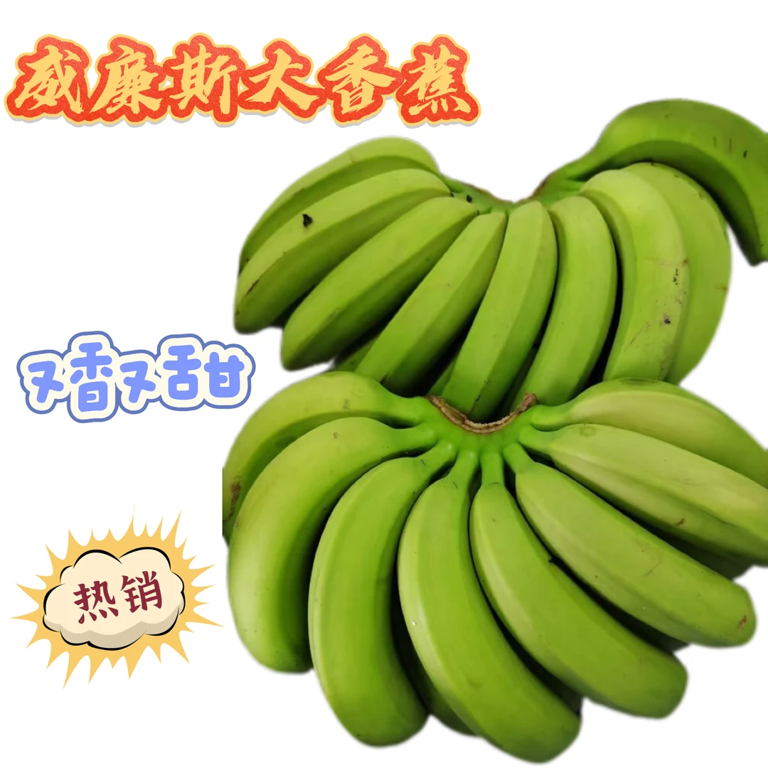 广西南宁自家仓库发货威廉斯甜香蕉青皮发货9斤5斤3斤