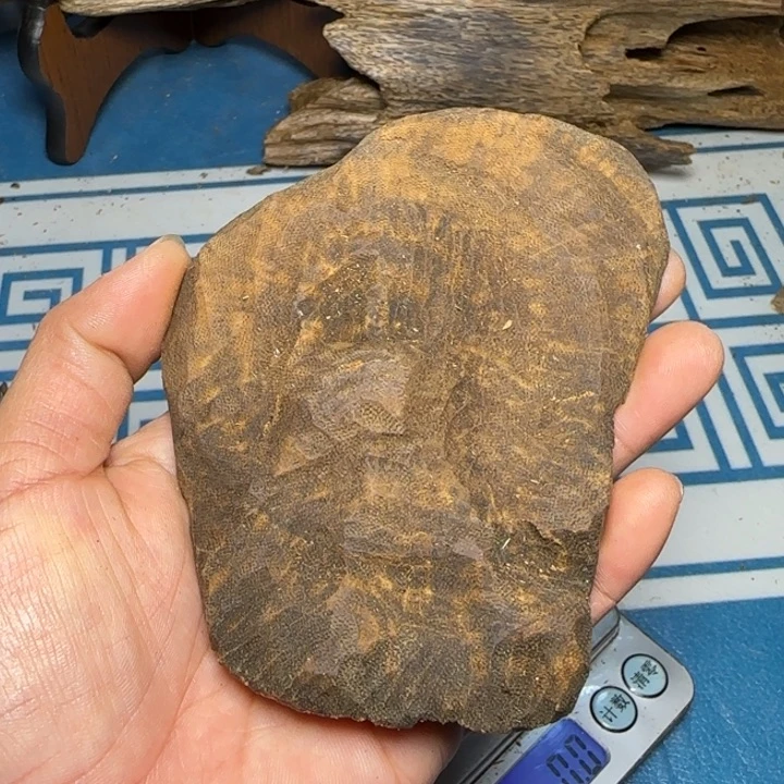 木质母树虎斑紫奇包头31克