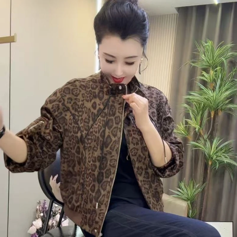 2501豹纹短外套潮流花色印花女立领秋季网红短外套ins开襟春秋