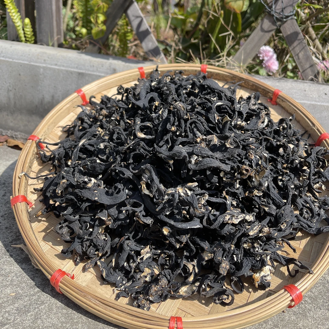 云南土特产 现收山货 乌灵参根