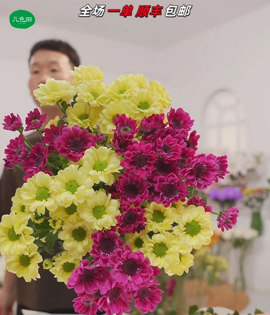 奶油+紫色----小菊云南直发鲜花云南花插花鲜花