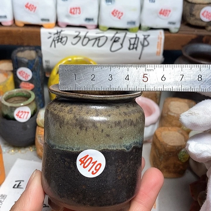 红陶拍5送一个小