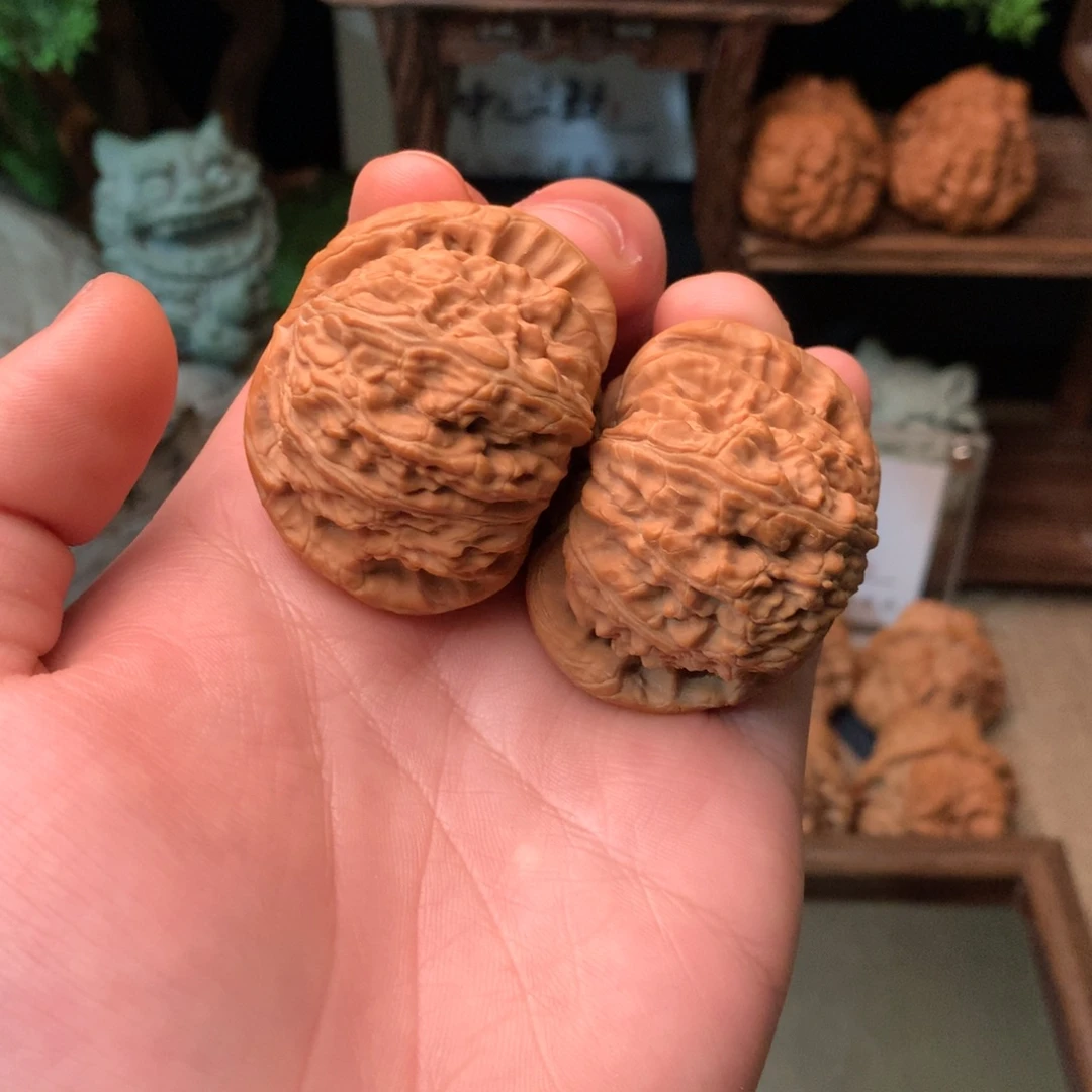 ****張核桃46尺寸白狮子