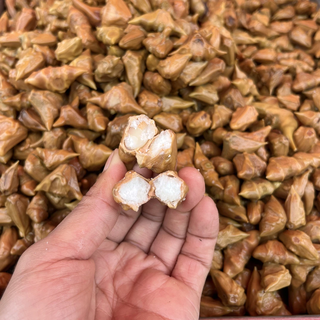 野生小菱角 熟菱角 人工柴火煮熟去皮京东冷链发货 香甜糯粉