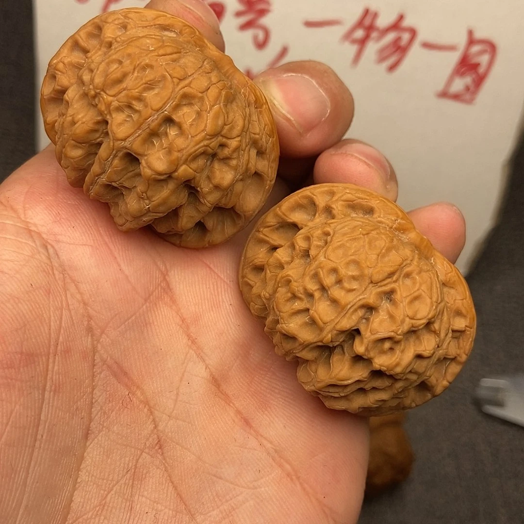 核桃血麒麟42尺寸编号912