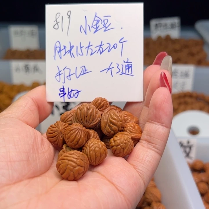 桃核手串小金豆15尺寸