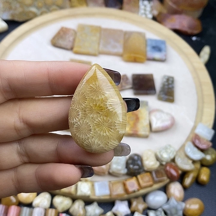 硅化玉未镶嵌颈饰