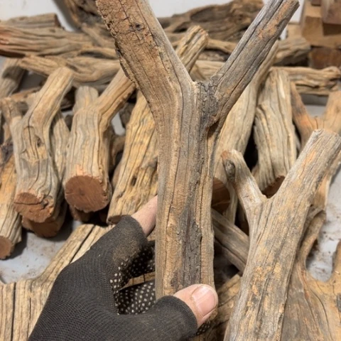 大果紫檀（缅甸花梨）繁*·