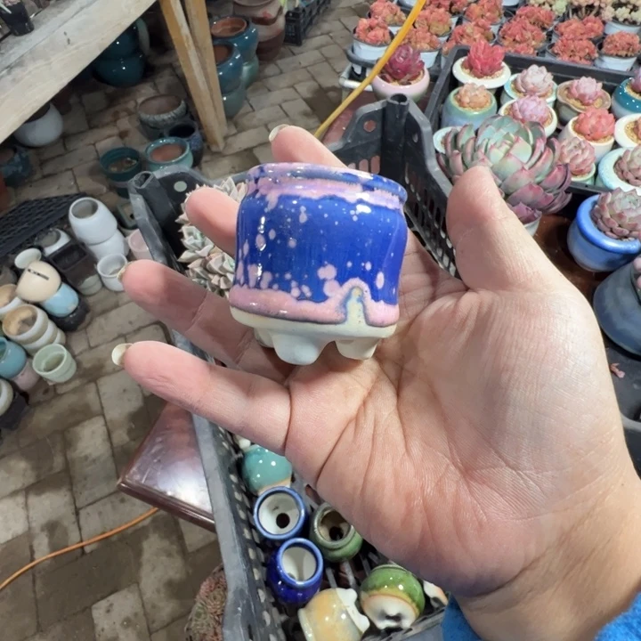 随单发货拇指盆