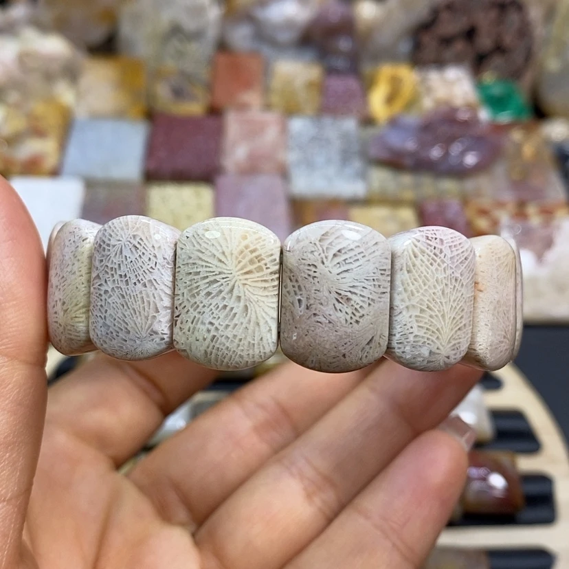 【闪购商品】硅化珊瑚（珊瑚玉）颈饰未镶嵌k 8