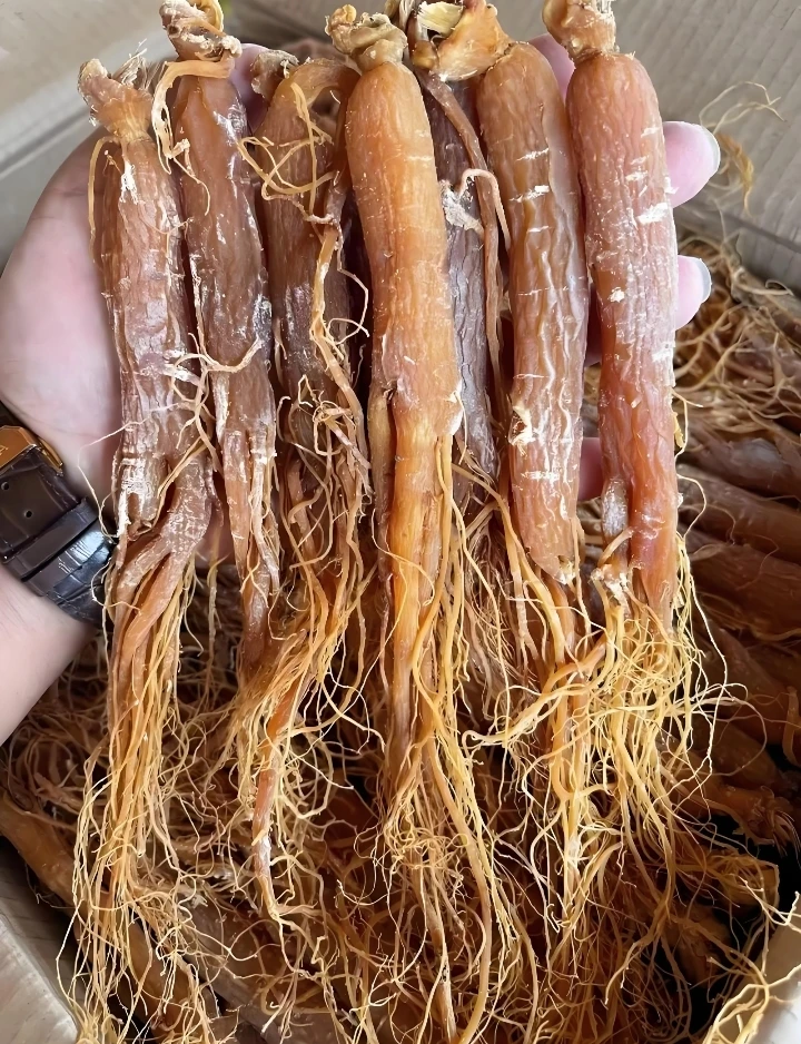 林下参红参整支干参散装30g