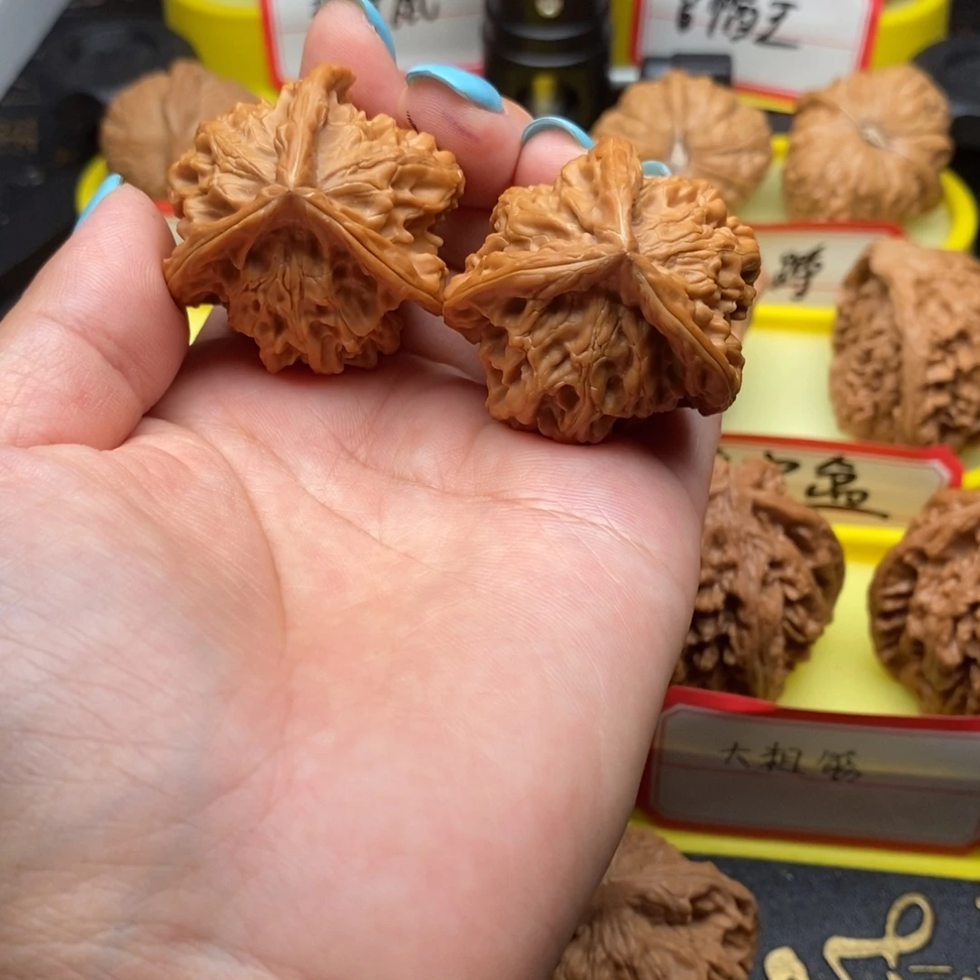 王***动菩提籽类三棱盘山