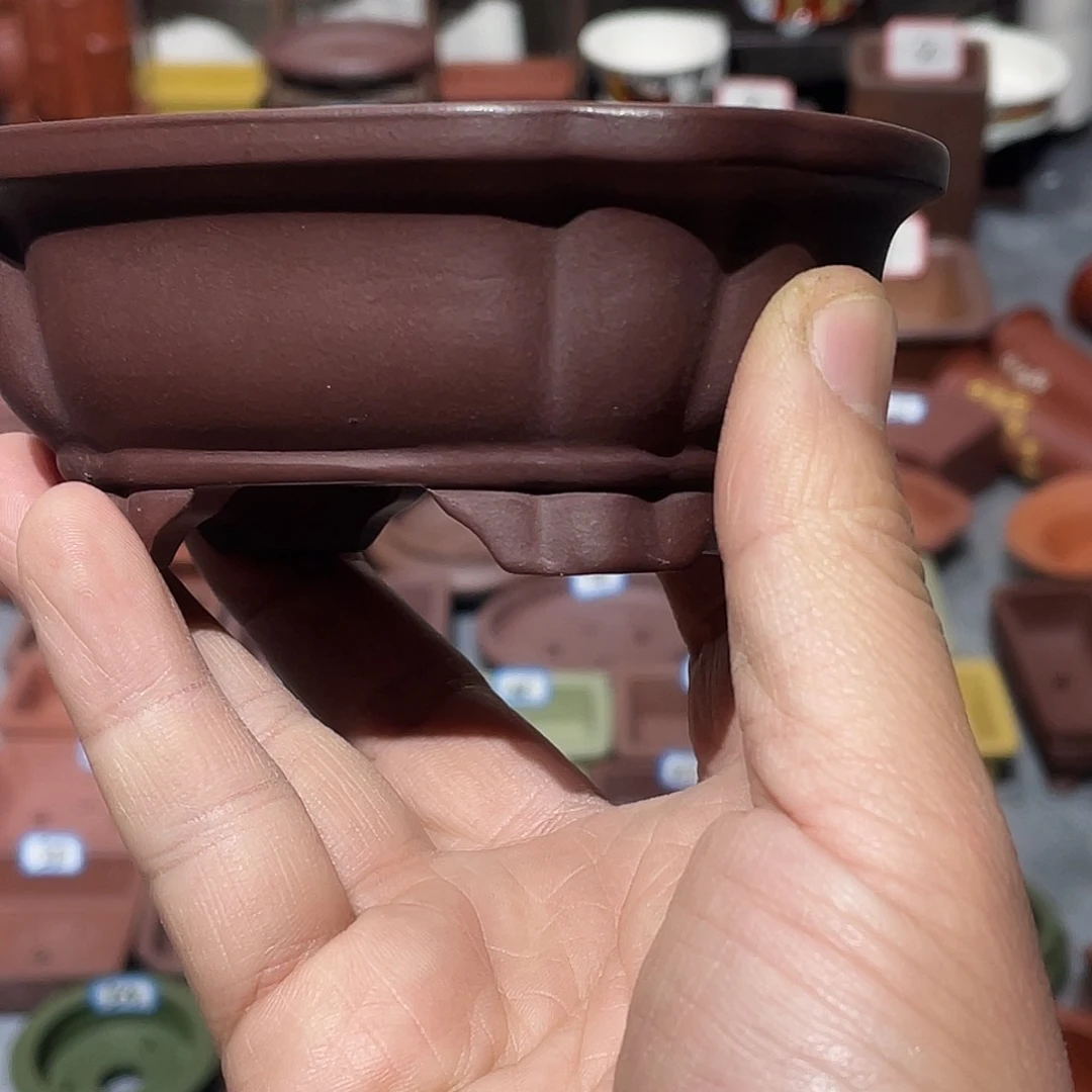 紫砂波*紫砂小盆9.5