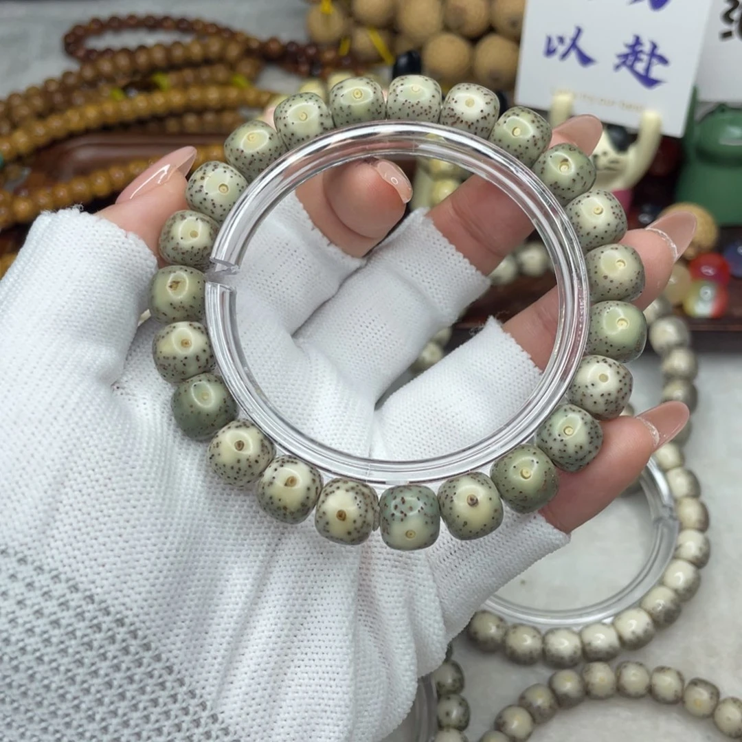 星月菩提手串10×9 黄金瞳H02