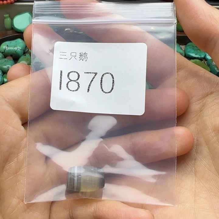 观***尝吊坠菩提根/象牙果