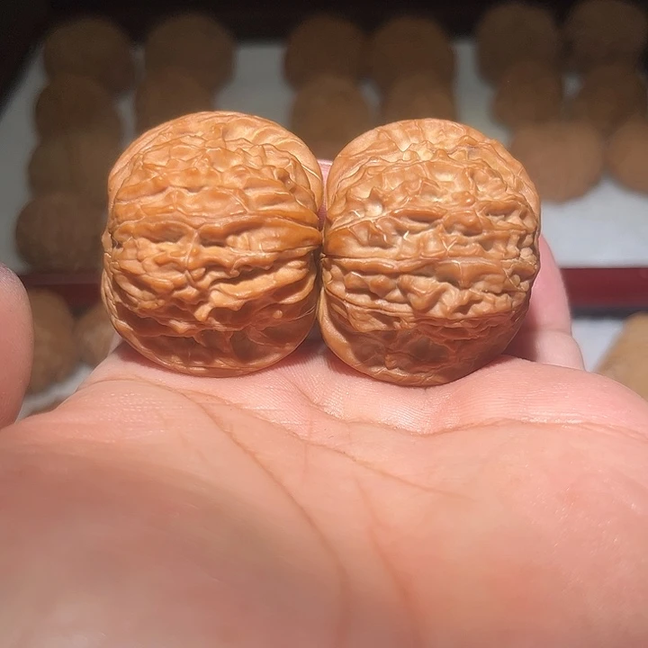 *****木42磨盘狮子头