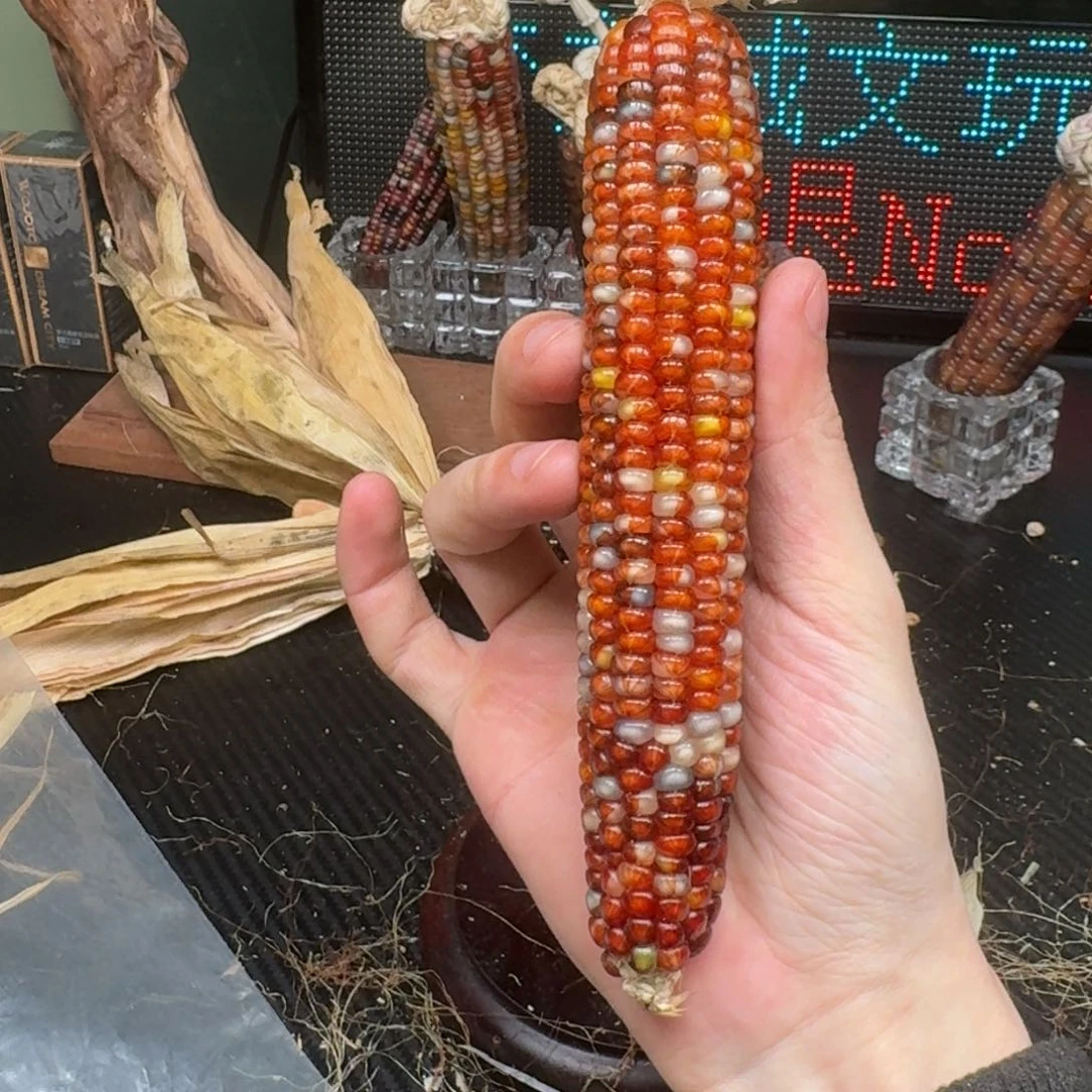 柏香籽/百香籽吊坠若*优