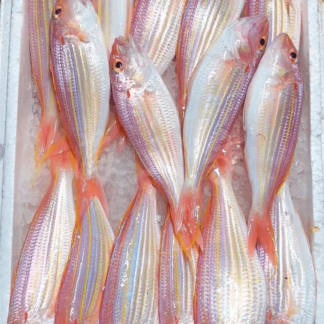 神泉本港金线鱼5斤广东包邮，一斤4条杀好八两5包