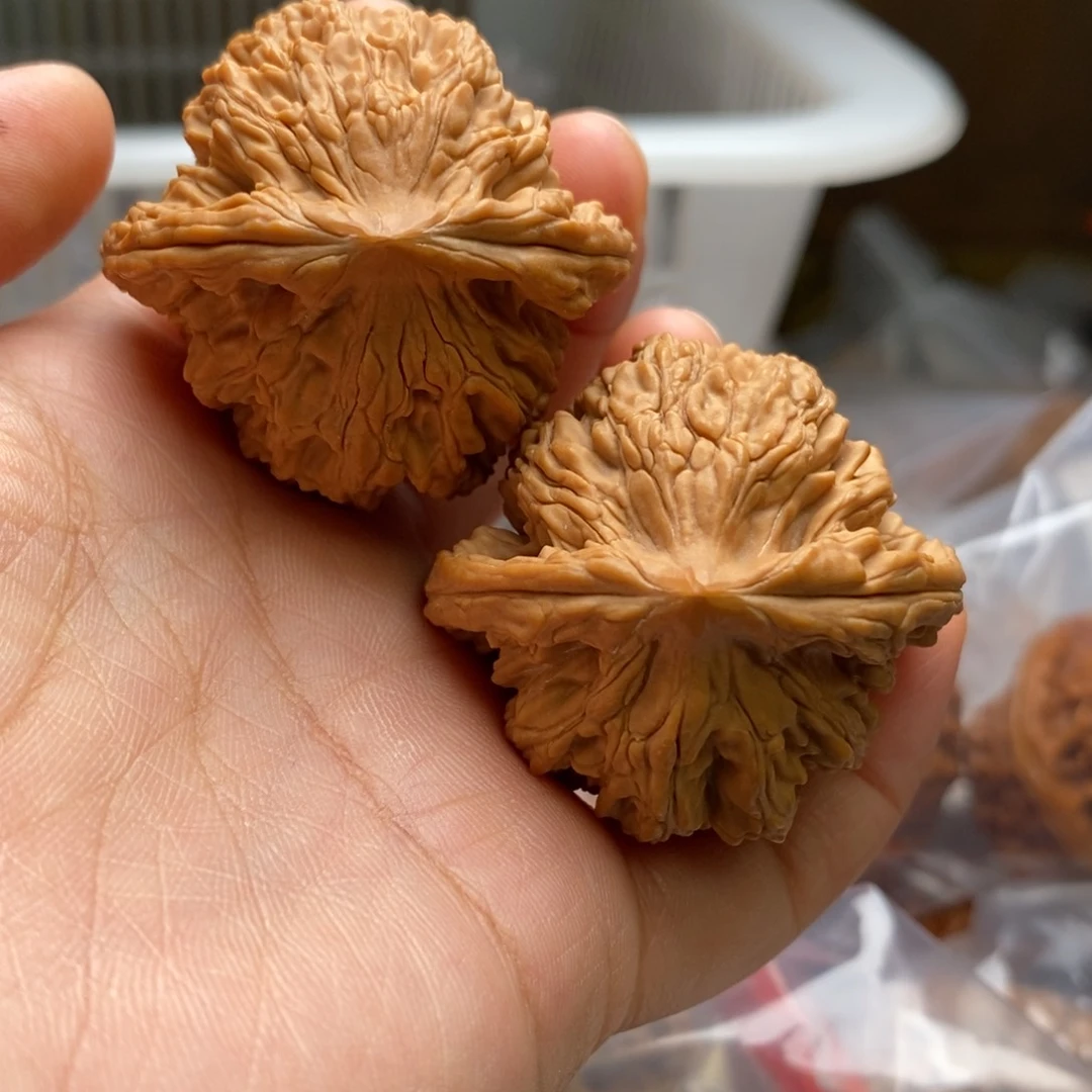 文玩核桃把件野堂上41尺