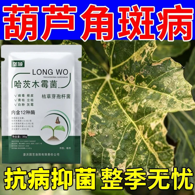 葫芦角斑病专用葫芦白粉黑霉灰霉炭疽黑斑病菌清通用葫芦专用肥料