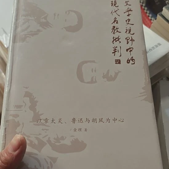 文学视野中的现代名教批判，精装务必塑封