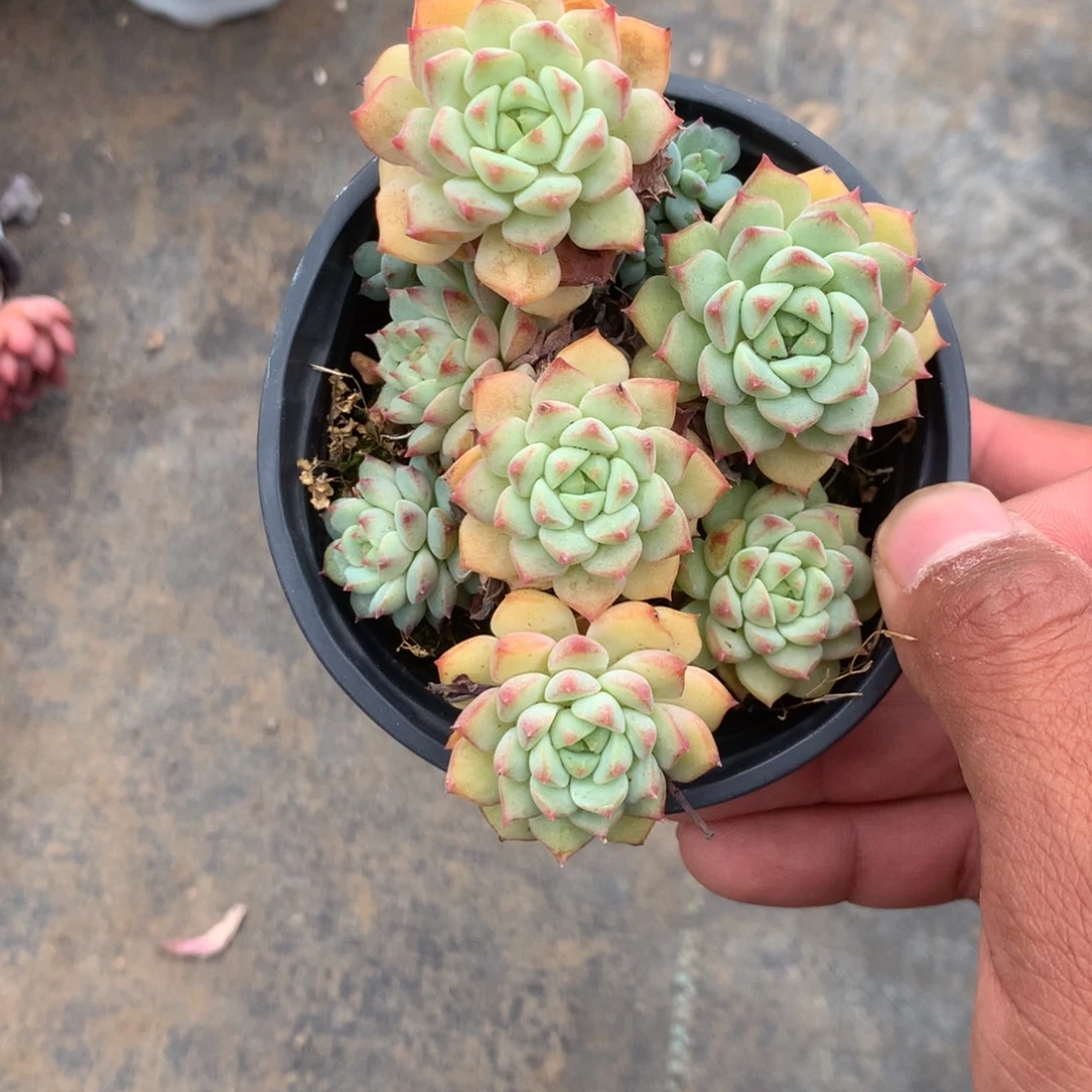 人工成本太少也不会导致企业