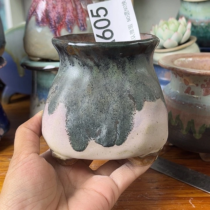 重庆小燕子欢迎大家605