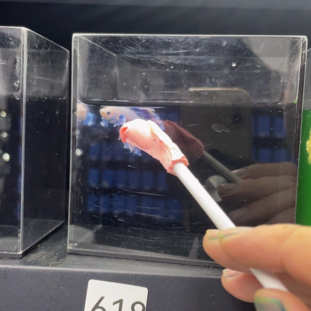 海水哈哈哈哎哈哈啊，嘎