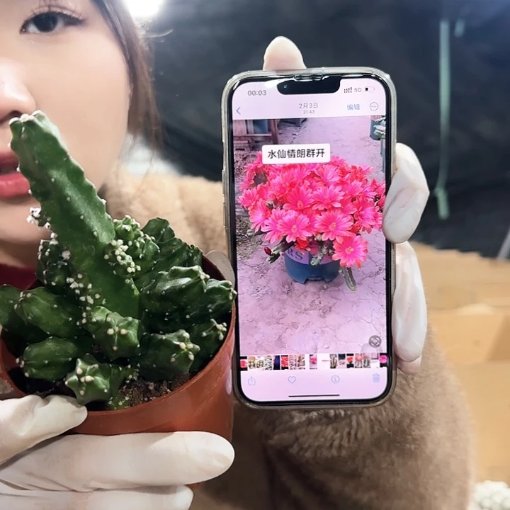 水仙情郎111111111