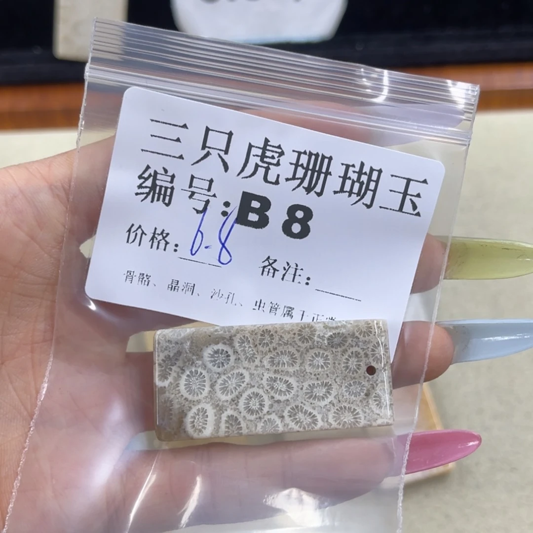 小***将硅化珊瑚（珊瑚玉）h未镶嵌