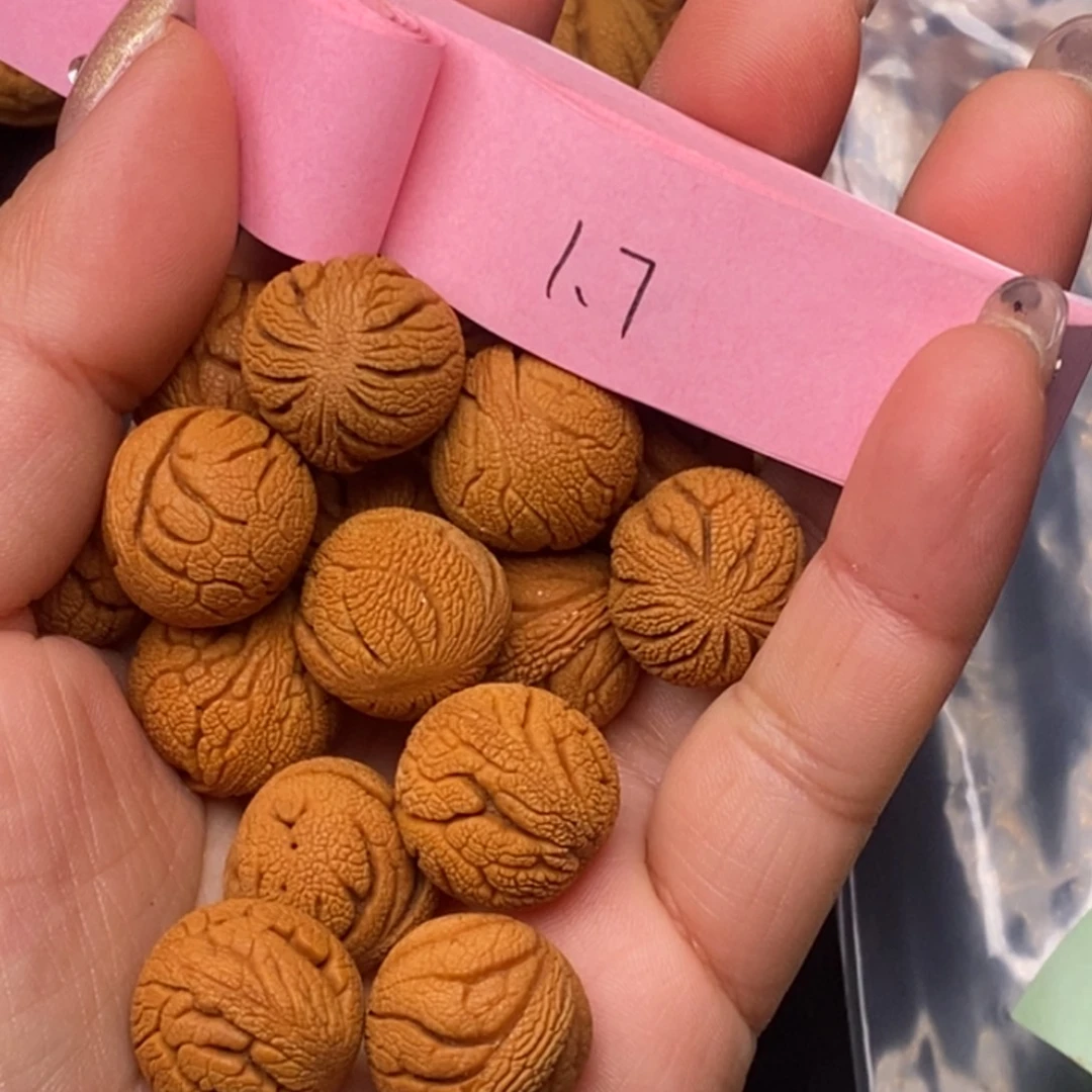 秦岭龙纹桃核15颗