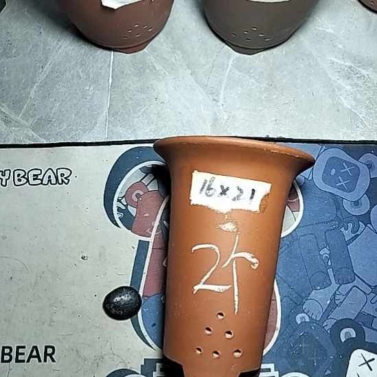 小红兰花两个花盆