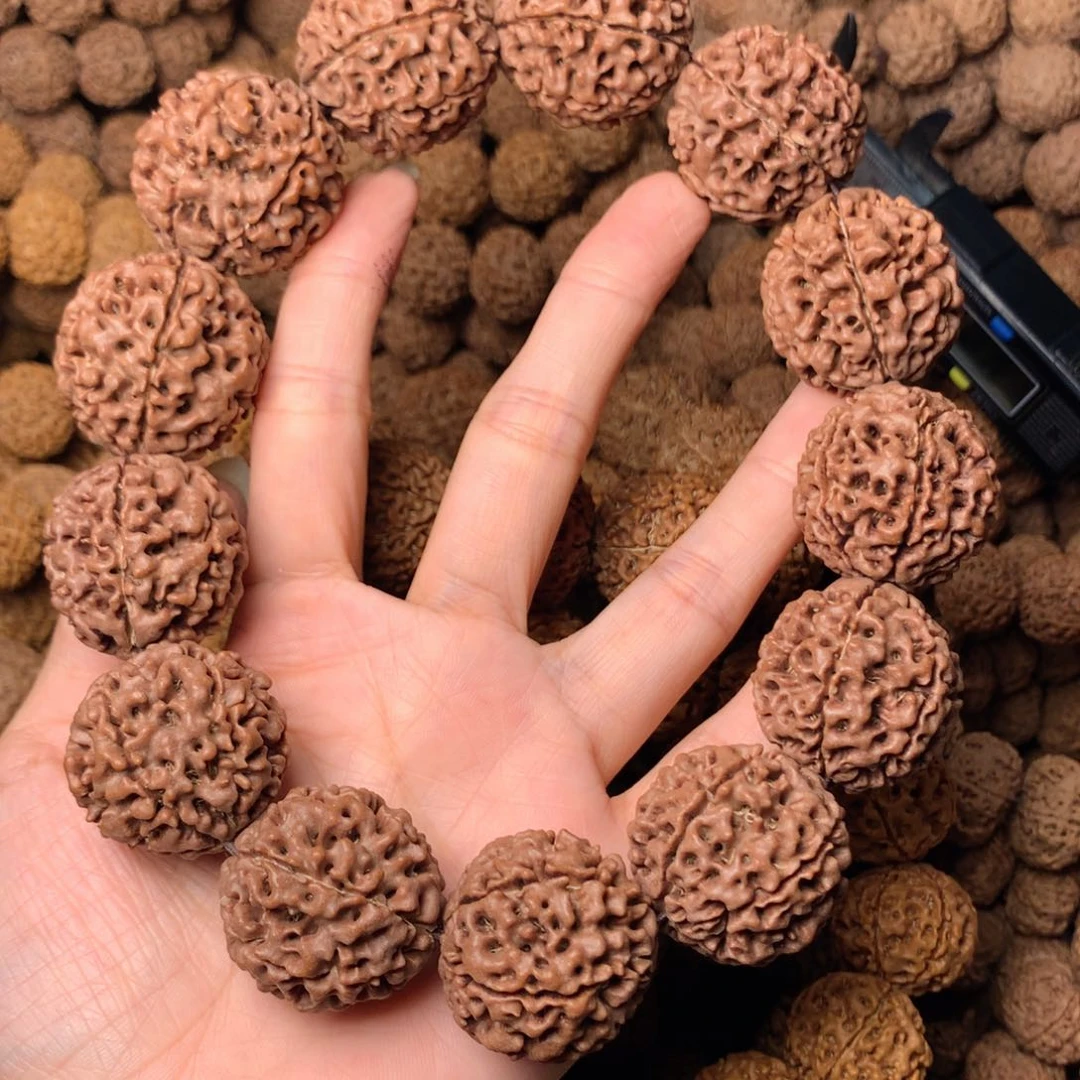 木6瓣爆肉卡27尺寸，73号