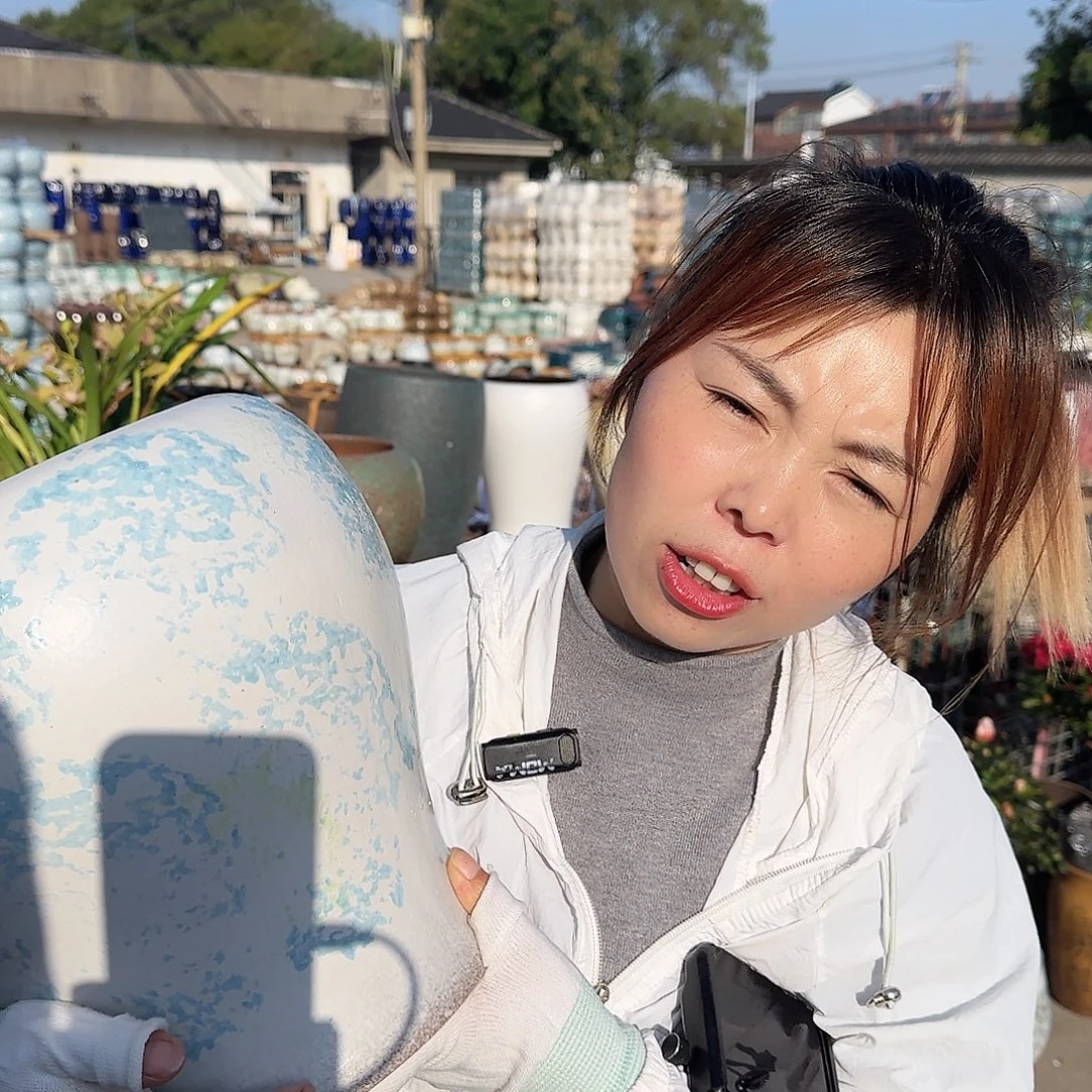 王嫂花盆1113-393