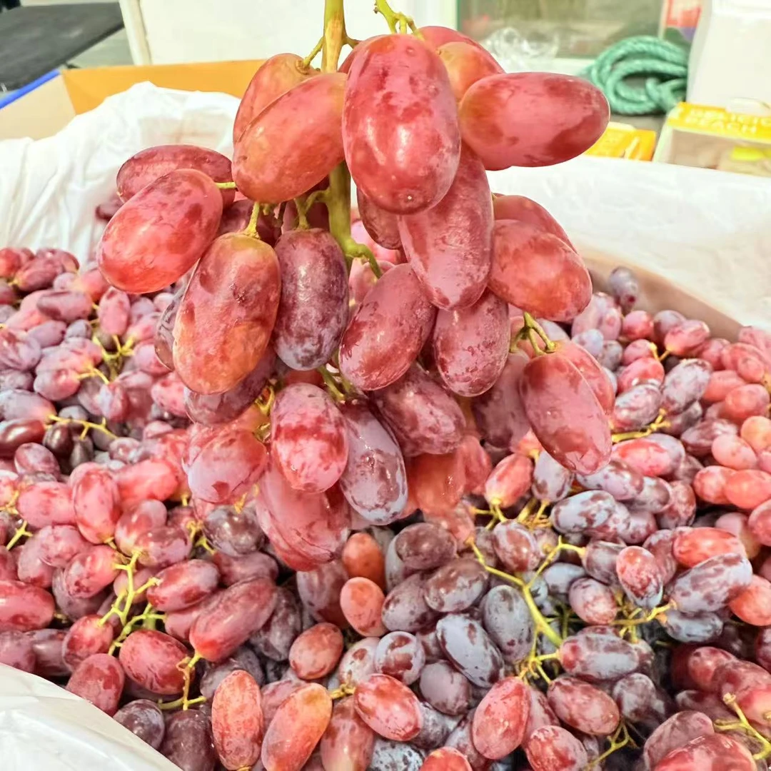 【进口无籽红提】澳大利亚无籽红提/葡萄新鲜水果