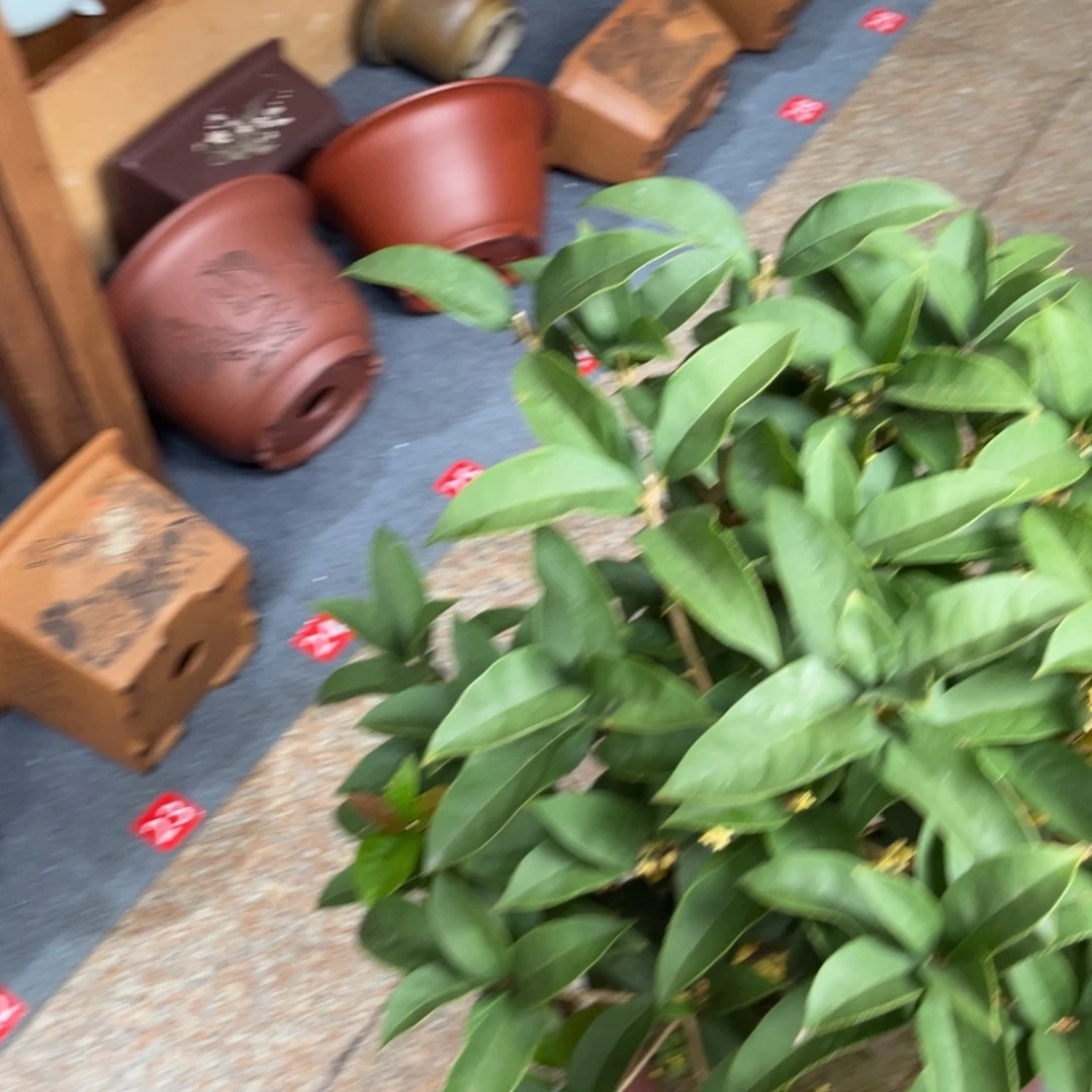 梦***飞高温正宗手工花盆