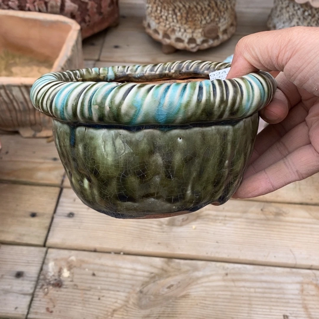 简***活41号多肉盆口径12